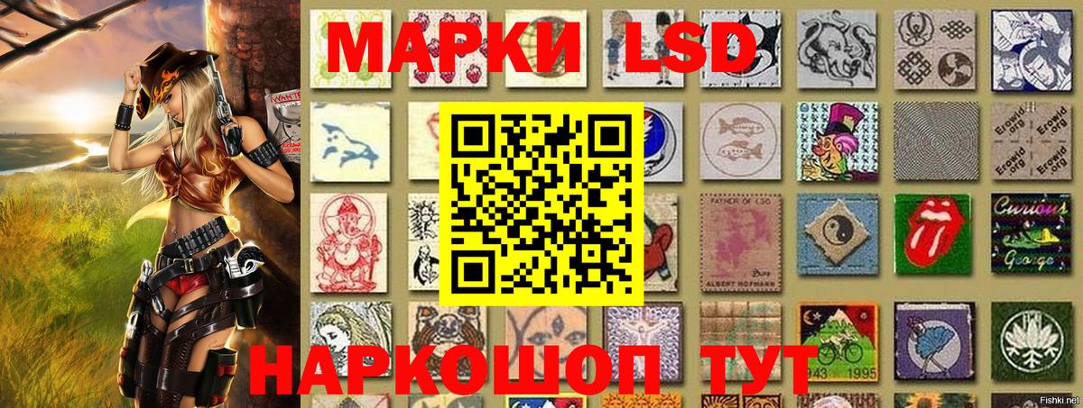 Наркотические марки 1,5мг  Вход с VPN  Славянск-на-Кубани 