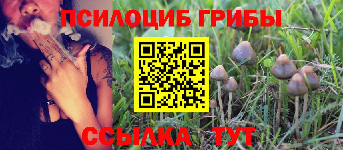 Славянск-на-Кубани  Псилоцибиновые грибы Magic Shrooms  Вход с VPN 